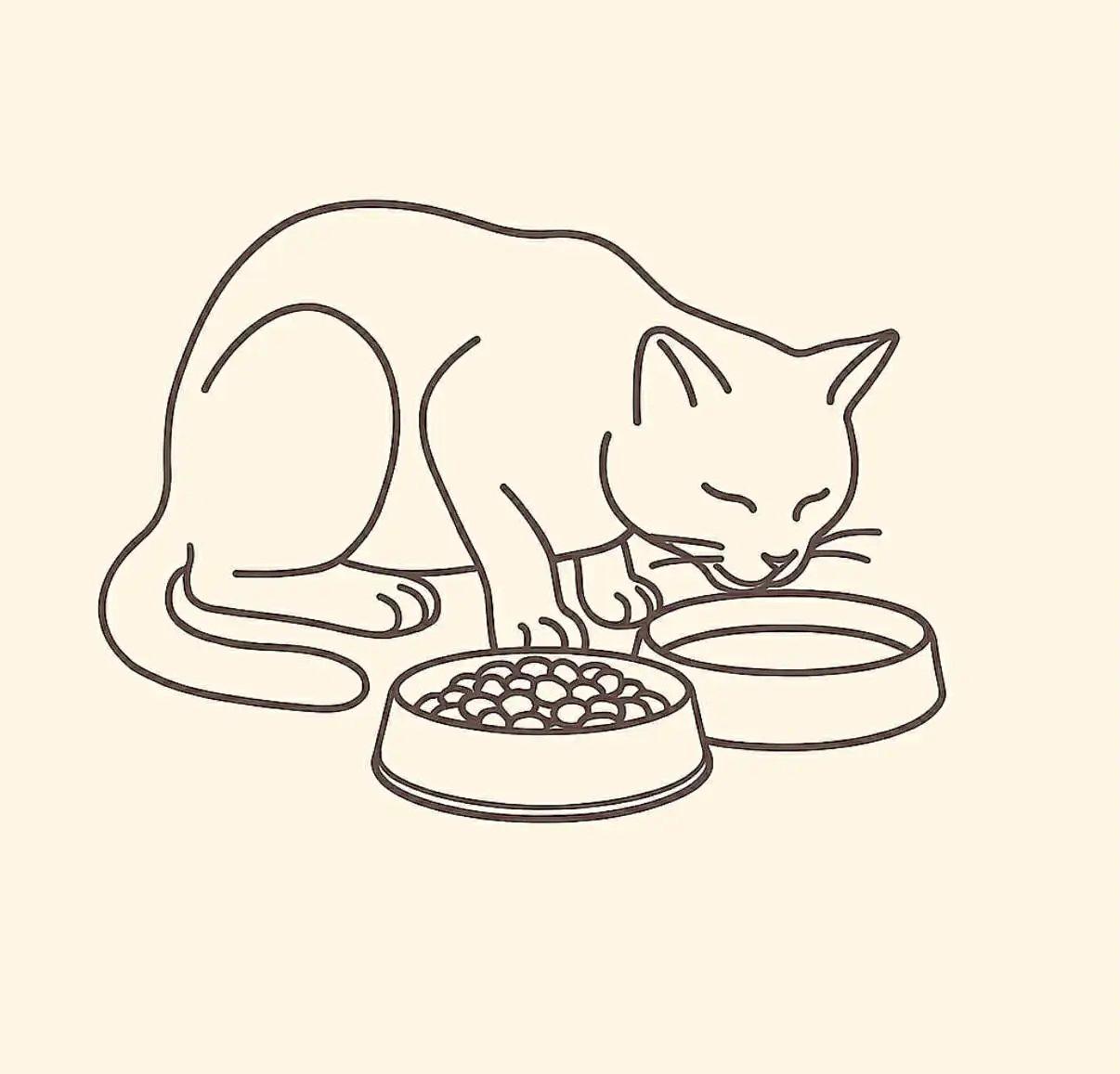 Katt spiser